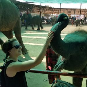 Meet your Posher, Hailey